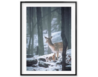 Deer Wildlife Photography Print, Fawn Wall Art Photography, Baby Animal Nursery Wildlife, Christmas Gift, Gift Idea for Mom, Holiday Gift
