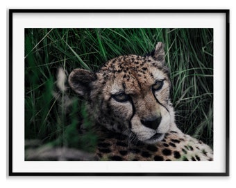 Handmade Cheetah Wildlife Photography Prints and Wall Art for Living Room Decor Home Ideas Christmas Gifts For Her Holiday Gift Ideas