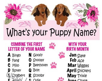 Long Hair Dachshund Whats Your Puppy Name Game Name Tags Included | Dog Celebration | Adopt a Dog Birthday Party Game | Printable