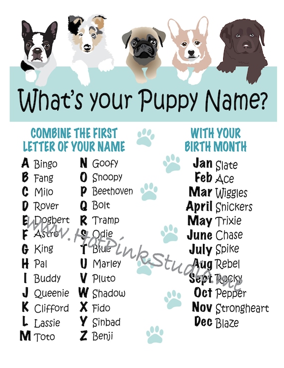 Whats The Name Of Puppy