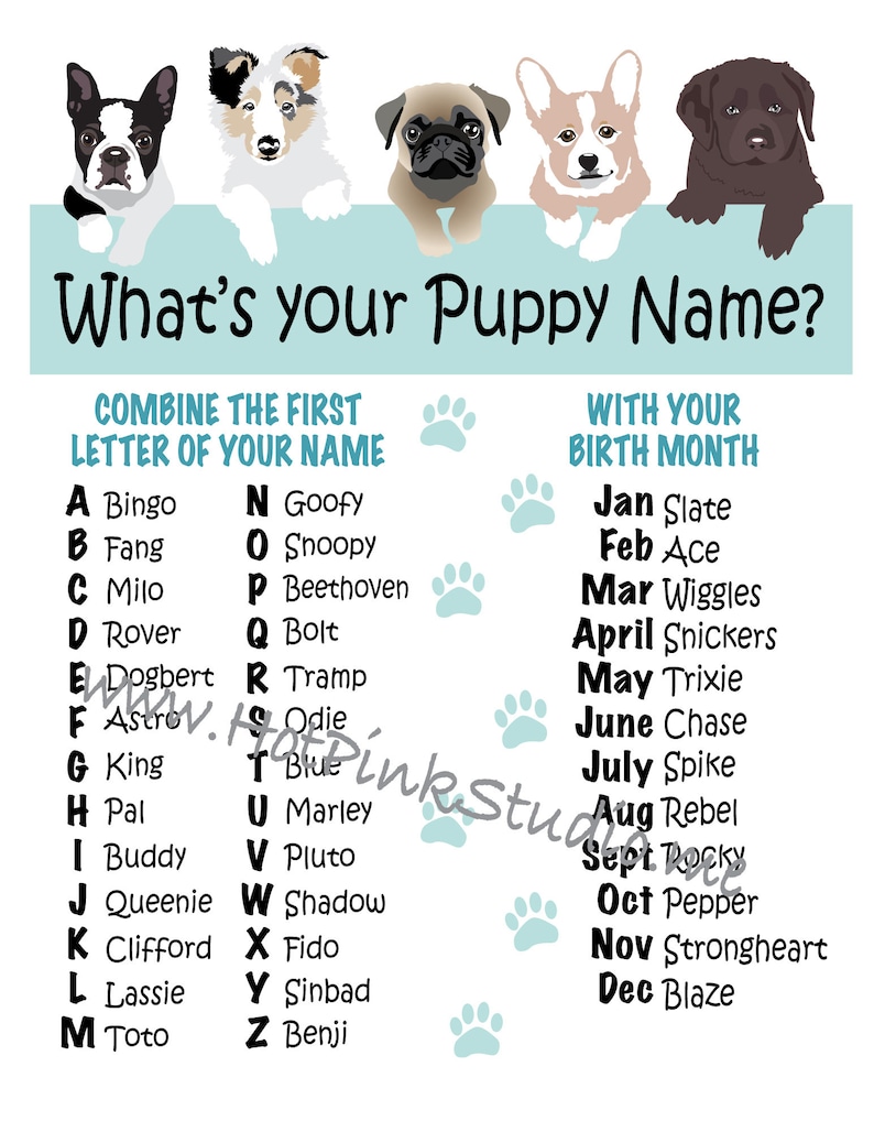 Whats Your Puppy Name Game Display Sign 8.5x11 and Name Tags Included
