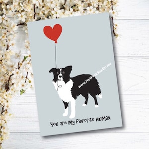 Biglietto di auguri Border Collie Compleanno Migliore amico. Biglietto di auguri di buon compleanno per cani. Biglietto di auguri per bambini. Biglietto di auguri per animali.