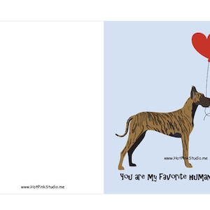 Cucciolo di cane Alano, biglietto di San Valentino per il tuo amore o migliore amico. Tu sei il mio umano preferito. Biglietto di compleanno per bambini. Biglietto di auguri con animali.