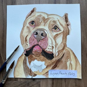 Pitbull DIPINTO A MANO dal tuo ritratto fotografico, acquerello su carta. Opera d'arte originale e unica, illustrazione di un animale domestico di famiglia.
