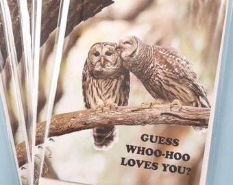 Barred Owl Note Cards, Set of 5 Owl Photo Notecards, Blank Cards, Bird Stationery, Greeting Card, "Guess Whoo-Hoo Loves You?," Kissing Owls