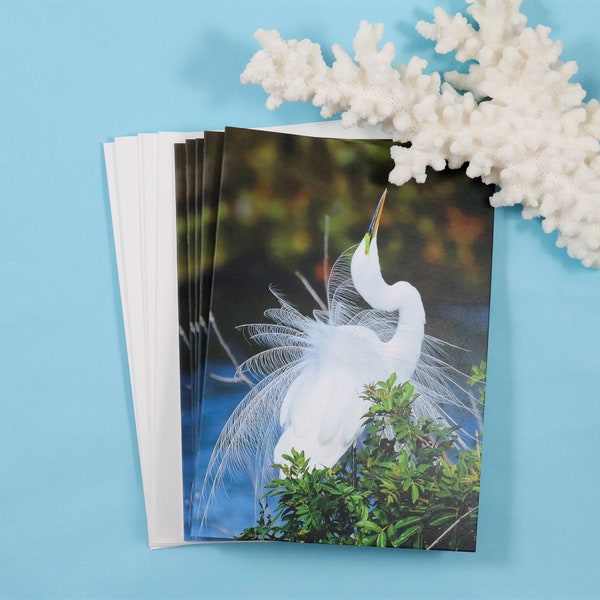 Egret Note Card, Set of 5 Notecards, Blank Cards, Beach Bird Stationery, Recycled Paper, Florida Photography, Coastal Bird, Great Egret Card