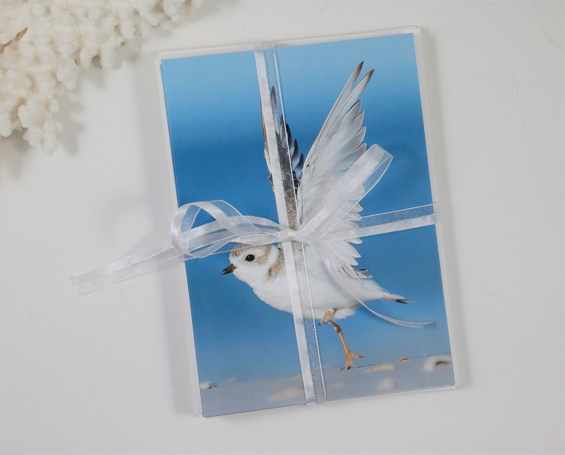 Bird Note Cards, Set of 5 Notecards, Blank Cards, Nature Stationery ...