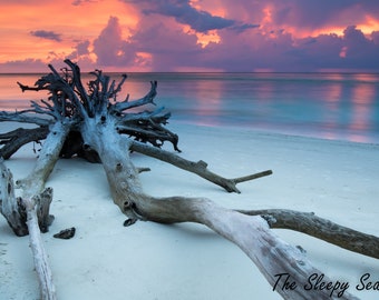 Beach Photography, Florida Photography, Beach Decor, Coastal Sunset, Tropical Wall Art, Nautical Decor, Ocean Decor, Florida Sunset Print