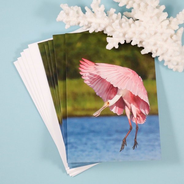 Roseate Spoonbill Note Cards, Set of 5 Notecards, Blank Cards, Bird Stationery, Greeting Card, Coastal Bird Photography, Wildlife Print