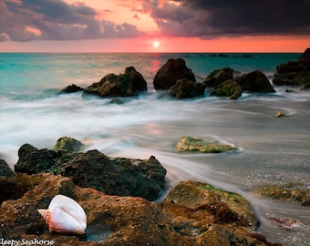 Beach Photography, Florida Photography, Beach Decor, Beach Photo, Coastal Decor, Beach Sunset Print, Ocean Decor, Seashell, Florida Sunset