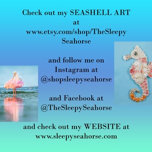 K&ouml;nnte beinhalten: Muschelkunst eines Seepferdchens in rosa und wei&szlig;. Die Etsy-Shop-Adresse und die Social-Media-Handles des K&uuml;nstlers sind unter dem Bild aufgef&uuml;hrt.