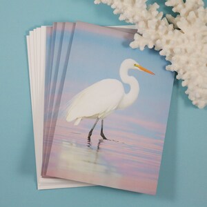 May include: A stack of blank greeting cards with a white egret standing in shallow water with a pink and blue sunset reflection. The cards are perfect for sending a thoughtful message.