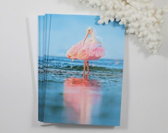 Roseate Spoonbill Note Cards, Set of 5 Bird Notecards, Blank Cards, Beach Stationery, Florida Greeting Cards, Bird Photography, Pink Bird