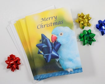 Christmas Cards, Set of 5 Holiday Cards, Seasonal Cards, Blue Parakeet, Indian Ringneck, Christmas Bird, Parrot Note Cards, Birb Note Cards
