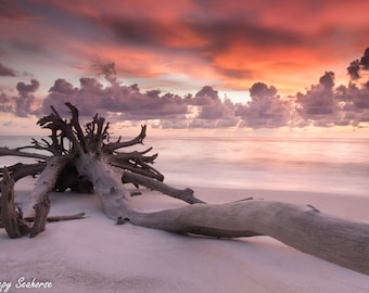 Beach Photography, Florida Sunset, Beach Decor, Beach Sunset Print, Coastal Decor, Florida Photography, Seascape, Florida Beach, Gulf Coast