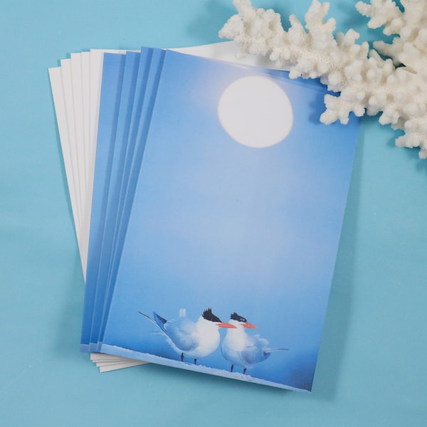 Bird Note Cards, Set of 5 Notecards, Blank Cards, Beach Stationery, Greeting Card, Royal Terns, Florida Photography, Moon, Beach Moonrise