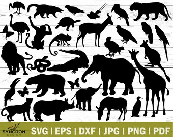 Free Free Zoo Birthday Svg 856 SVG PNG EPS DXF File