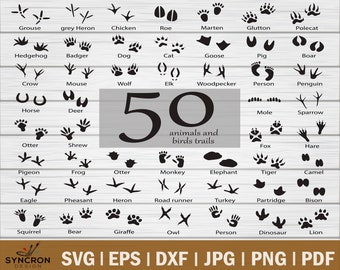 Animal Footprint Svg Etsy