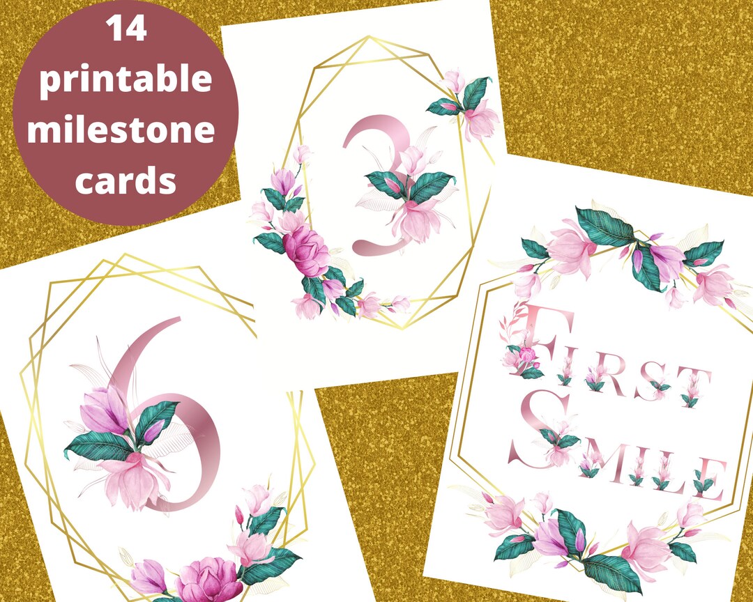 Baby Monthly Milestone With Pink Flowers and Gold Milestone Etsy