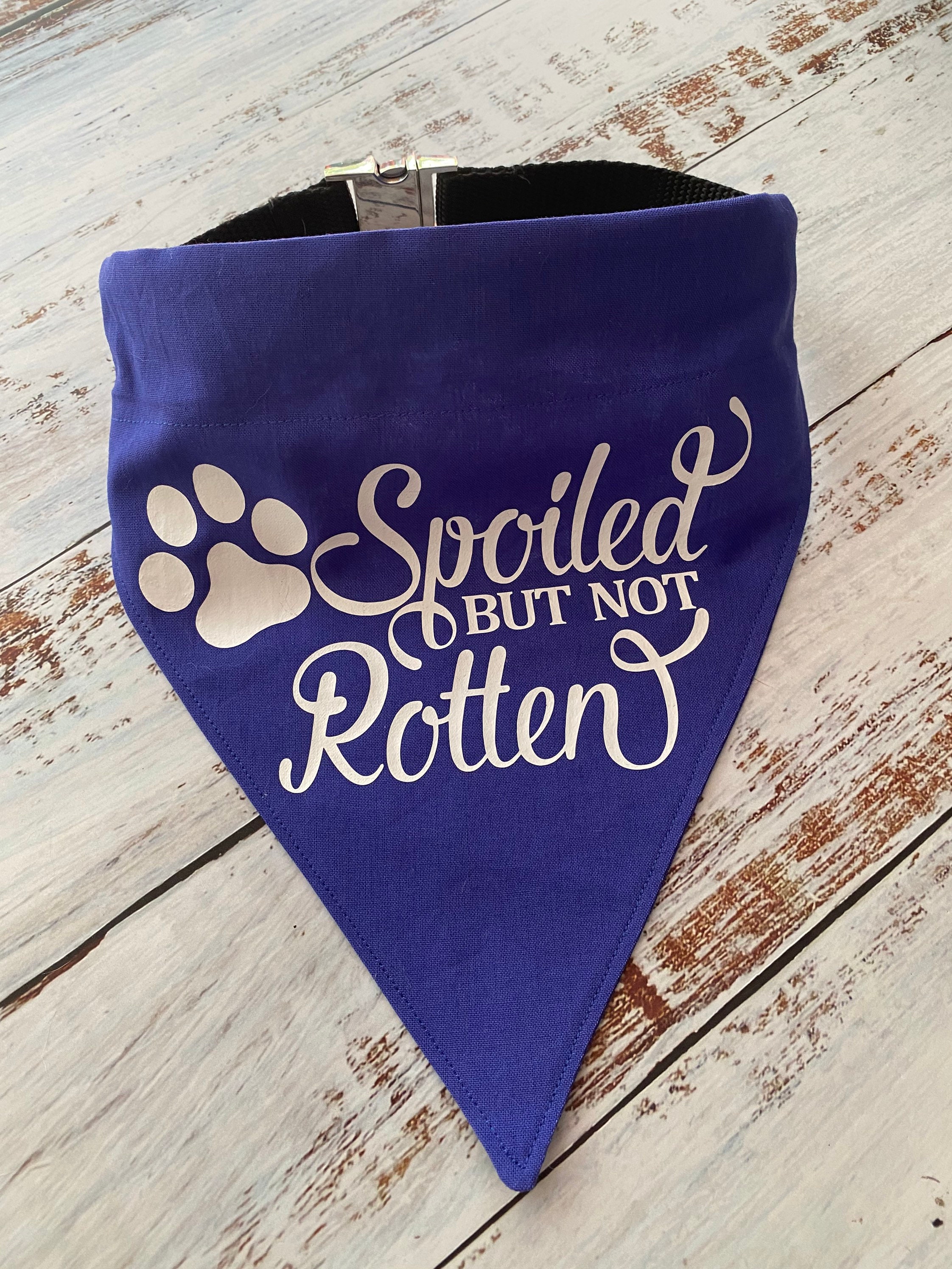 Dog Bandanas Beware of Dog Drool Or Kisses Spoiled But Not Etsy