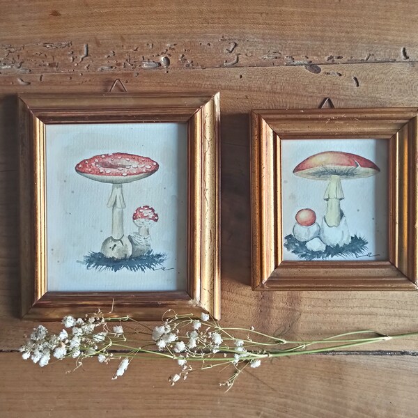 Original Aquarell Bildzeichnung von Pilzen im Vintage-Rahmen. Kleine Kunstwerke. Guter Ovolo Pilz, Böser Ovolo Pilz