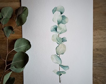 Original botanic watercolor. Eucalyptus leaves. Illustration on paper, modern, minimalistic art painting