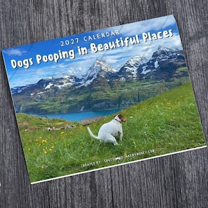 Peut inclure: Un calendrier 2027 intitulé Dogs Pooping in Beautiful Places montrant un chien blanc dans un champ d'herbe verte avec des fleurs jaunes, un lac bleu et des montagnes enneigées en arrière-plan. Le texte Created by shutupandtakemymoney.com est visible.