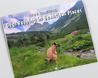 Dogs Pooping in Beautiful Places 2026 Calendar - Great Gag Gift White Elephant Secret Santa Dog Lovers