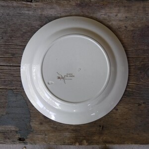 Raro plato antiguo de loza transferida Dado Ridgeway Stoke On Trent de 1885-1890 imagen 4