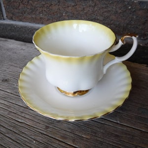 Royal Albert &quot; Rainbow&quot; Pattern Tea Cup and Saucer Set