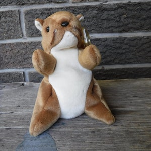 Vintage Ty Beanie Baby &quot; Nuts&quot; The Squirrel