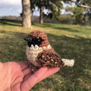 Crochet Little Sparrow | Crochet Amigurumi | Crochet Plush Toy Figure | Realistic Bird Figure | House Sparrow | Physical Item