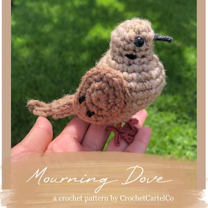 Mouring Taube geschrieben Häkelanleitung | Realistisches gehäkeltes Amigurumi | SOFORTIGER DOWNLOAD | PDF | Anfängerfreundlich und leicht zu folgen