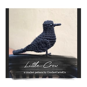 Little Crow Written Crochet Pattern | Blackbird / Raven | Crochet Amigurumi | INSTANT DOWNLOAD | PDF | Beginner Friendly & Easy to Follow
