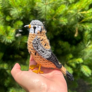 Puede incluir: Un pájaro halcón amigurumi de crochet con plumas marrones, grises y negras, patas amarillas y ojos blancos. El pájaro está posado en una mano.
