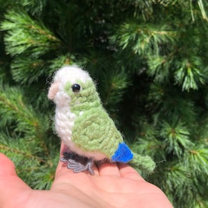 Crochet Quaker Parrot | Realistic Bird Figure | Crochet Parrot Amigurumi | Monk Parakeet | Crochet Plush Toy | Bird Gift | Physical Item