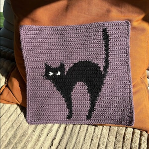 怖がり猫のかぎ針編みタペストリー | 黒猫のタペストリー | ハロウィンのかぎ針編みタペストリー ウォールアート | 現物 | 在庫は1点のみ