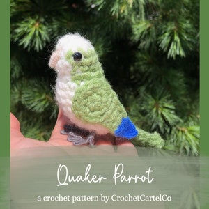 Pode incluir: Um brinquedo de amigurumi de papagaio Quaker feito de crochê com fio branco, verde e azul. O papagaio está sentado em uma mão com um fundo verde.