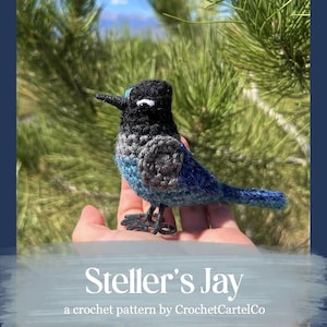 Steller's Jay Written Crochet Pattern | Realistic Bird Crochet Pattern | Songbird Amigurumi | INSTANT DOWNLOAD PDF | Step-by-Step Pictures
