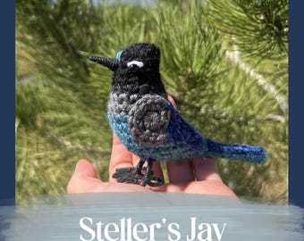 Steller's Jay Written Crochet Pattern | Realistic Bird Crochet Pattern | Songbird Amigurumi | INSTANT DOWNLOAD PDF | Step-by-Step Pictures