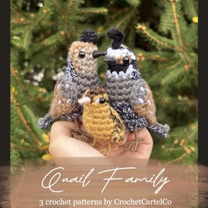 Op de afbeelding: Een gehaakte kwartelfamilie, bestaande uit twee volwassen vogels en een babyvogel. De volwassen vogels zijn grijs en bruin met witte accenten, terwijl de babyvogel geel is. De vogels zijn samen in een hand geplaatst, met de tekst "Quail Family" en "3 crochet patterns by CrochetCartelCo" eronder.
