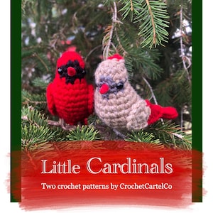Cardinal + Cardinal Häkelanleitungen-Bundle | Realistische Vogel häkeln Plüsch geschrieben Muster | SOFORTIGER DOWNLOAD PDFS | Schritt-für-Schritt Bilder