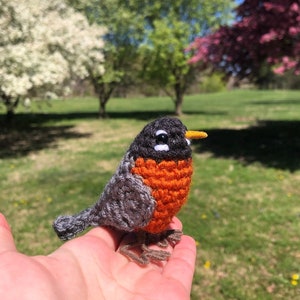 Crochet Little Robin | Crochet Amigurumi | Crochet Plush Toy Figure | Realistic Bird Figure | American Robin | Physical Item