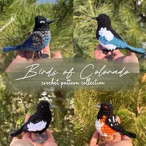 Può includere: Quattro uccelli all'uncinetto in vari colori, tra cui blu, nero, bianco e arancione. Gli uccelli sono esposti su uno sfondo di fogliame verde. Il testo "Birds of Colorado crochet pattern collection" è scritto in corsivo.