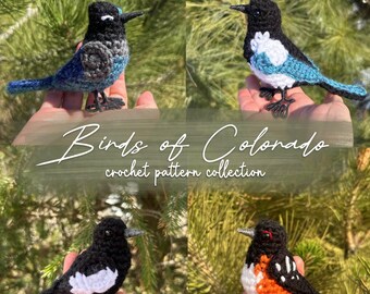 Birds of Colorado Crochet Pattern Bundle | 4 Realistic Crochet Birds Written PDF | Steller's Jay, Magpie, Lark Bunting, Spotted Towhee