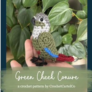 Puede incluir: Un pájaro Green Cheek Conure hecho a mano con ganchillo, con cabeza gris, cuerpo verde y cola roja. El pájaro tiene detalles azules y rojos en sus alas. El texto "Green Cheek Conure" y "a crochet pattern by CrochetCartelCo" son visibles.
