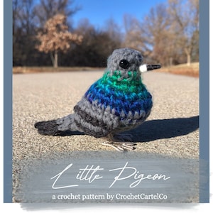 Little Pigeon Written Crochet Pattern | Realistic Bird Crochet Pigeon Amigurumi | INSTANT DOWNLOAD PDF | Step by Step Pictures