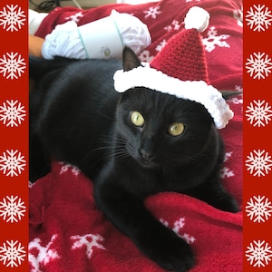 Santa hat with cat ears online