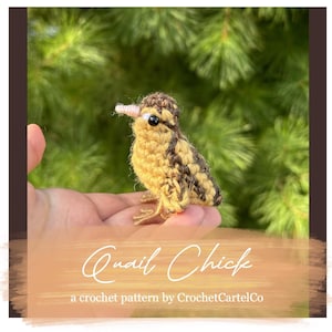 Può includere: Un giocattolo amigurumi all'uncinetto a forma di pulcino di quaglia realizzato con filato marrone e giallo. Il pulcino ha un piccolo becco rosa e occhi neri a perline. Il giocattolo è seduto nella mano di una persona su uno sfondo verde. "Quail Chick" e "a crochet pattern by CrochetCartelCo" sono scritti in bianco su uno sfondo pesca.