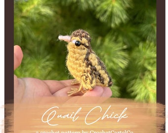 Patrón de crochet para pollito de codorniz / Amigurumi de pájaro / Patrón de codorniz bebé / DESCARGA INSTANTÁNEA en PDF / Imágenes paso a paso